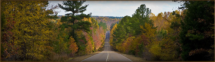 Scenic Road