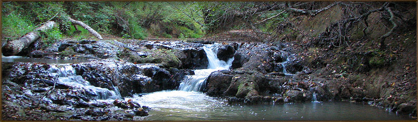 Creek