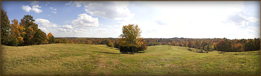 Rolling Landscape