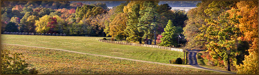 Scenic Farm