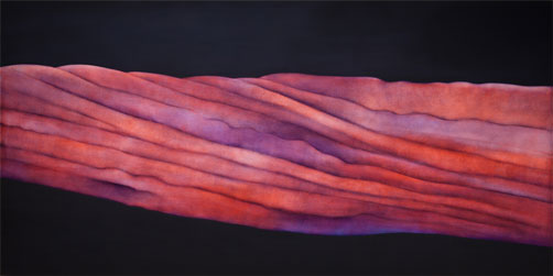 Veda_Reed_2012